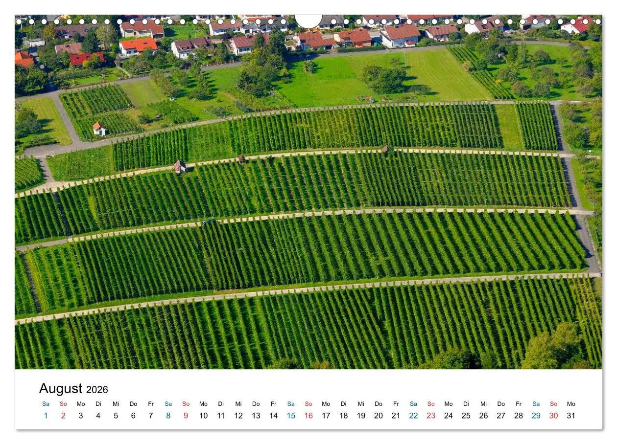 Bild: 9783516195200 | Württemberger Wein 2026 (Wandkalender 2026 DIN A3 quer), CALVENDO...