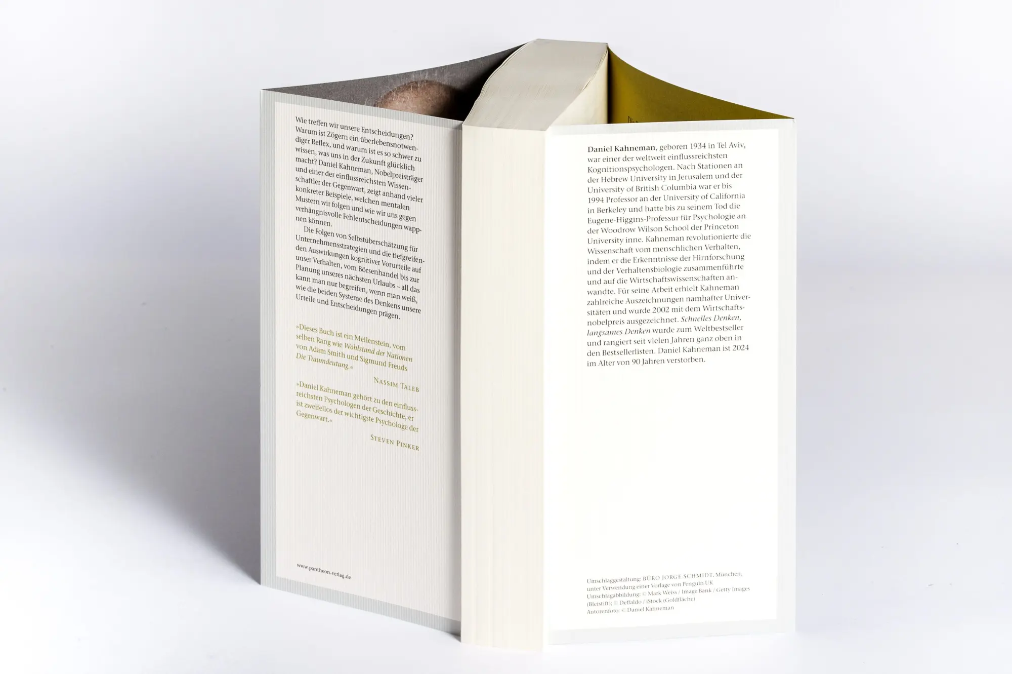 Bild: 9783570555200 | Schnelles Denken, langsames Denken | Daniel Kahneman | Taschenbuch