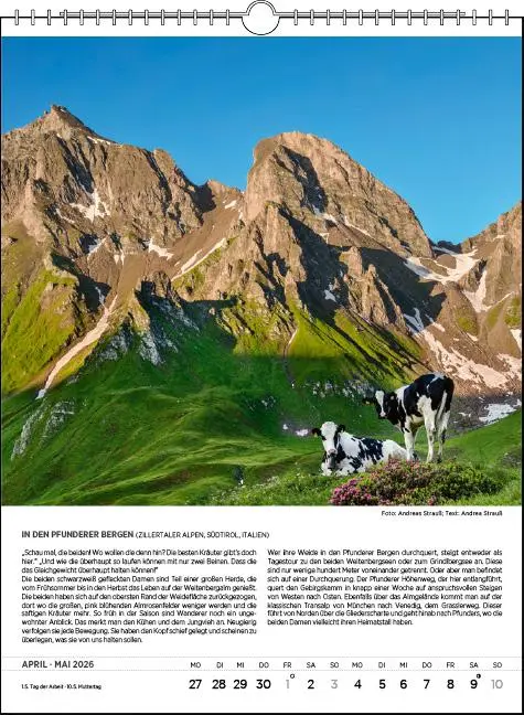 Bild: 9783861925200 | Blodigs Alpenkalender 2026 | Das Original seit 1926 | Andrea Strauß