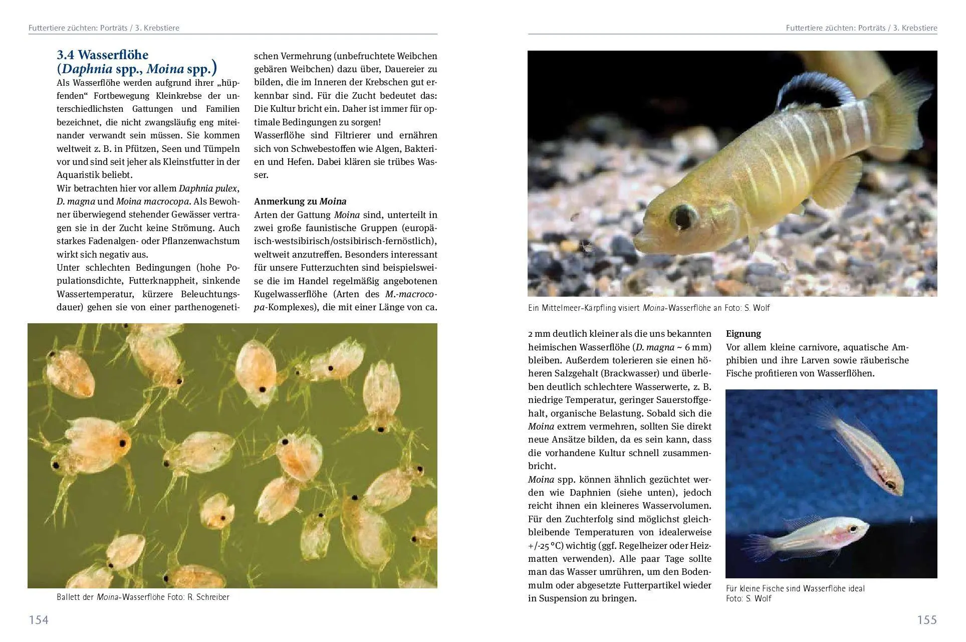 Bild: 9783866595200 | Lebendfutter selber züchten | Walter Wiest (u. a.) | Buch | 200 S.