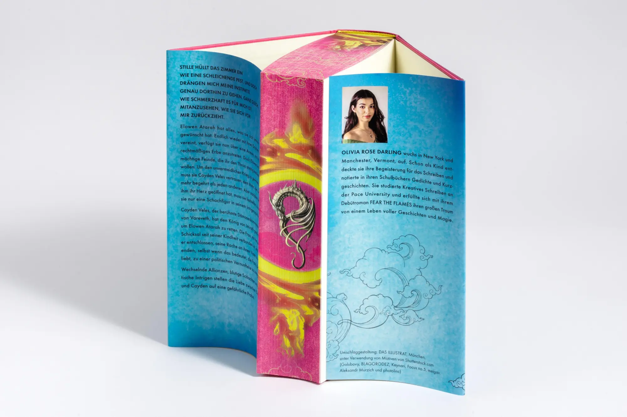 Bild: 9783453275300 | Wrath of the Dragons - Zorn des Drachen | Olivia Rose Darling | Buch