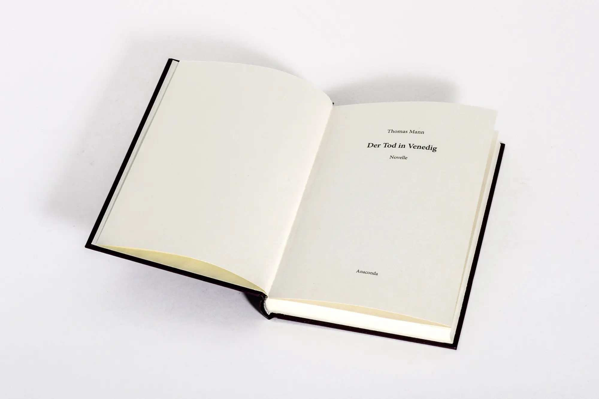 Bild: 9783730615300 | Der Tod in Venedig | Thomas Manns persönlichstes Buch | Thomas Mann