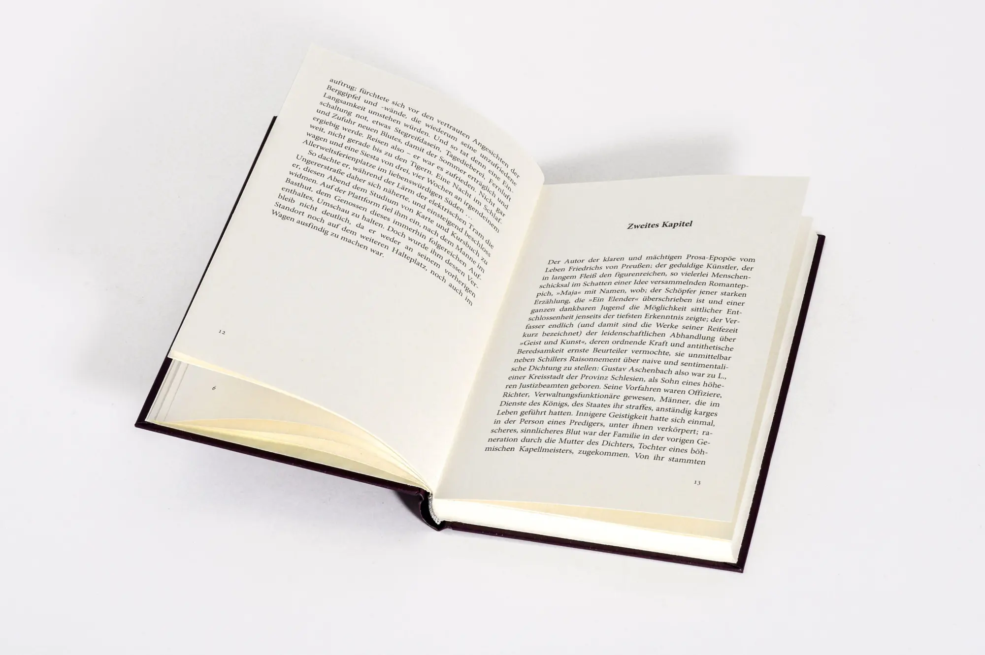 Bild: 9783730615300 | Der Tod in Venedig | Thomas Manns persönlichstes Buch | Thomas Mann