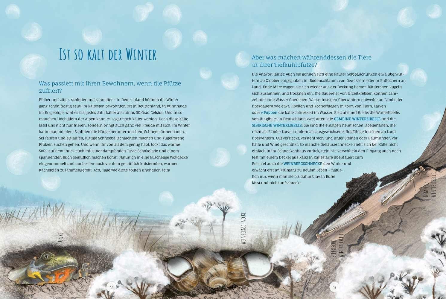 Bild: 9783957285300 | Die Pfütze | Die Vielfalt einer verborgenen Welt entdecken | Buch
