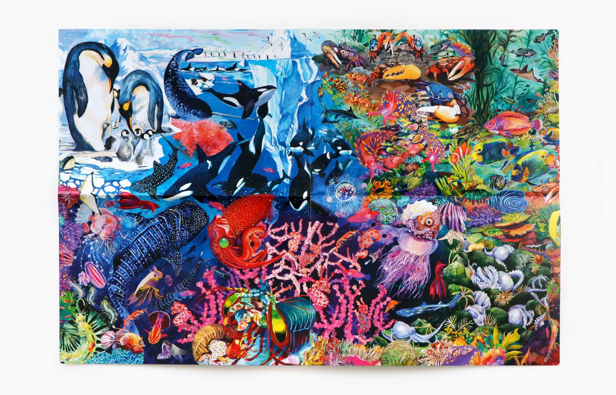 Bild: 9783962445300 | Abenteuer Ozean | Ein Team-Puzzle mit kleinen und großen Teilen | 2026