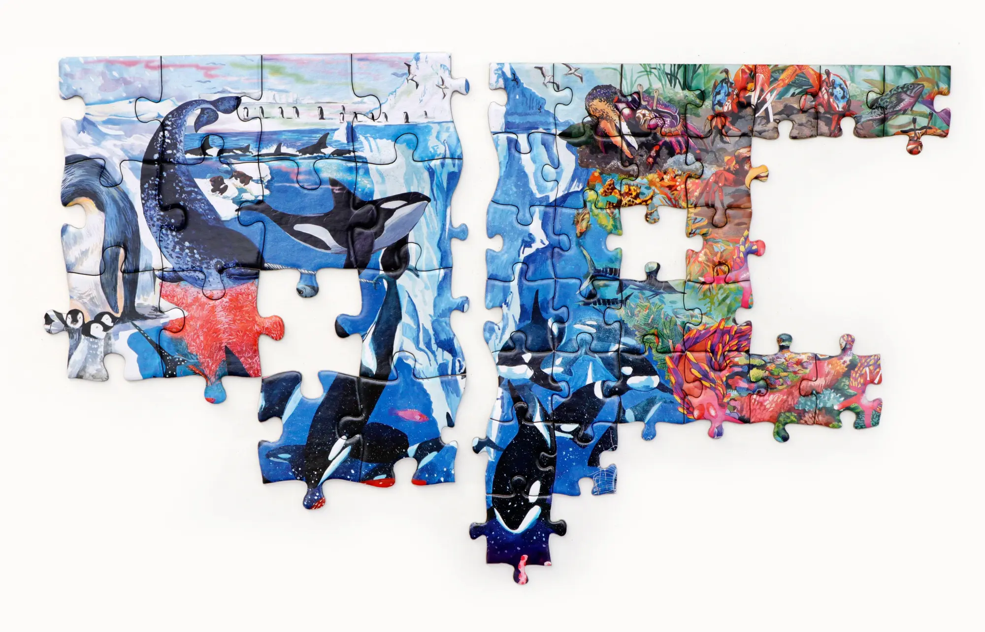 Bild: 9783962445300 | Abenteuer Ozean | Ein Team-Puzzle mit kleinen und großen Teilen | 2026