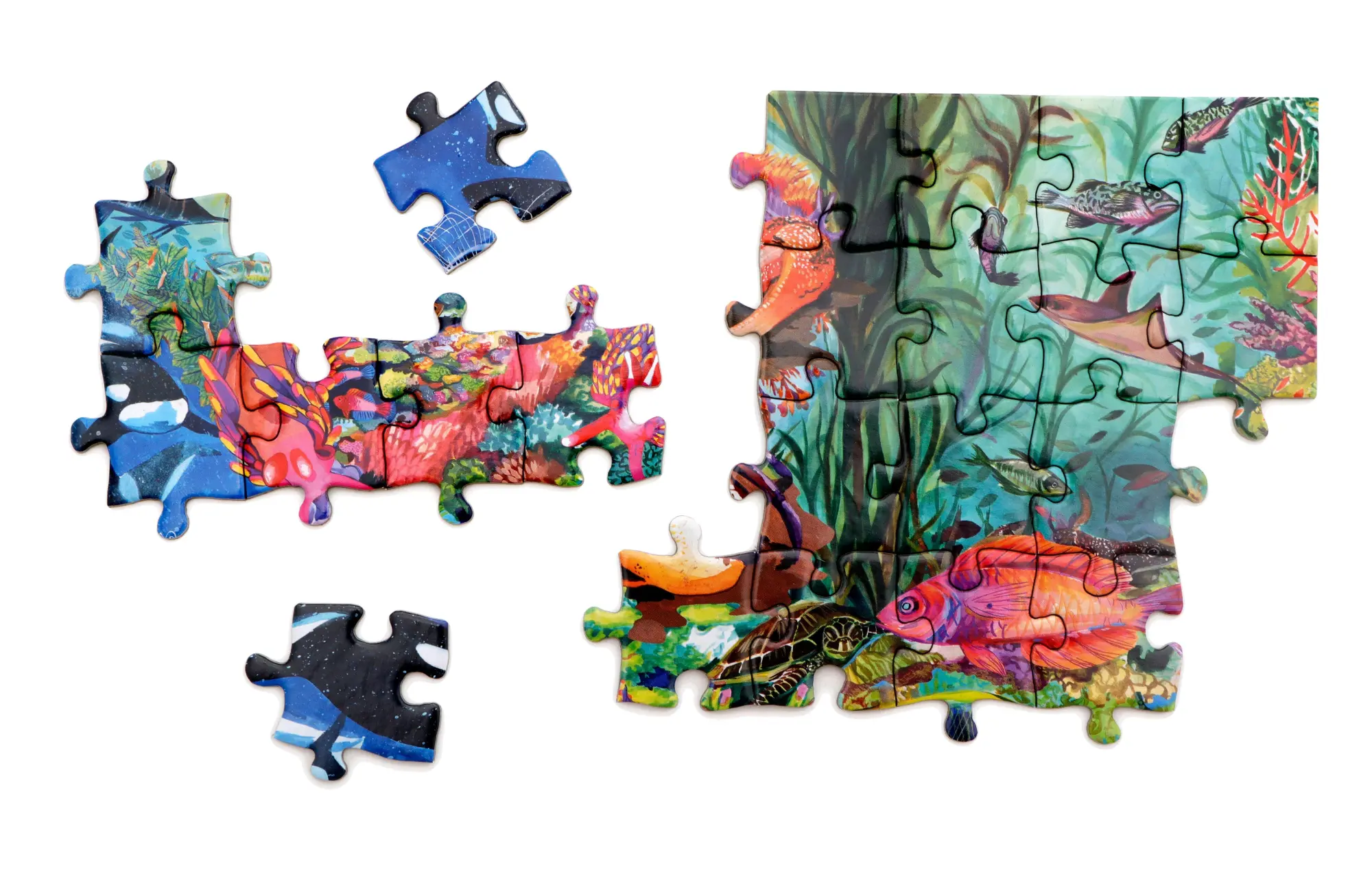 Bild: 9783962445300 | Abenteuer Ozean | Ein Team-Puzzle mit kleinen und großen Teilen | 2026