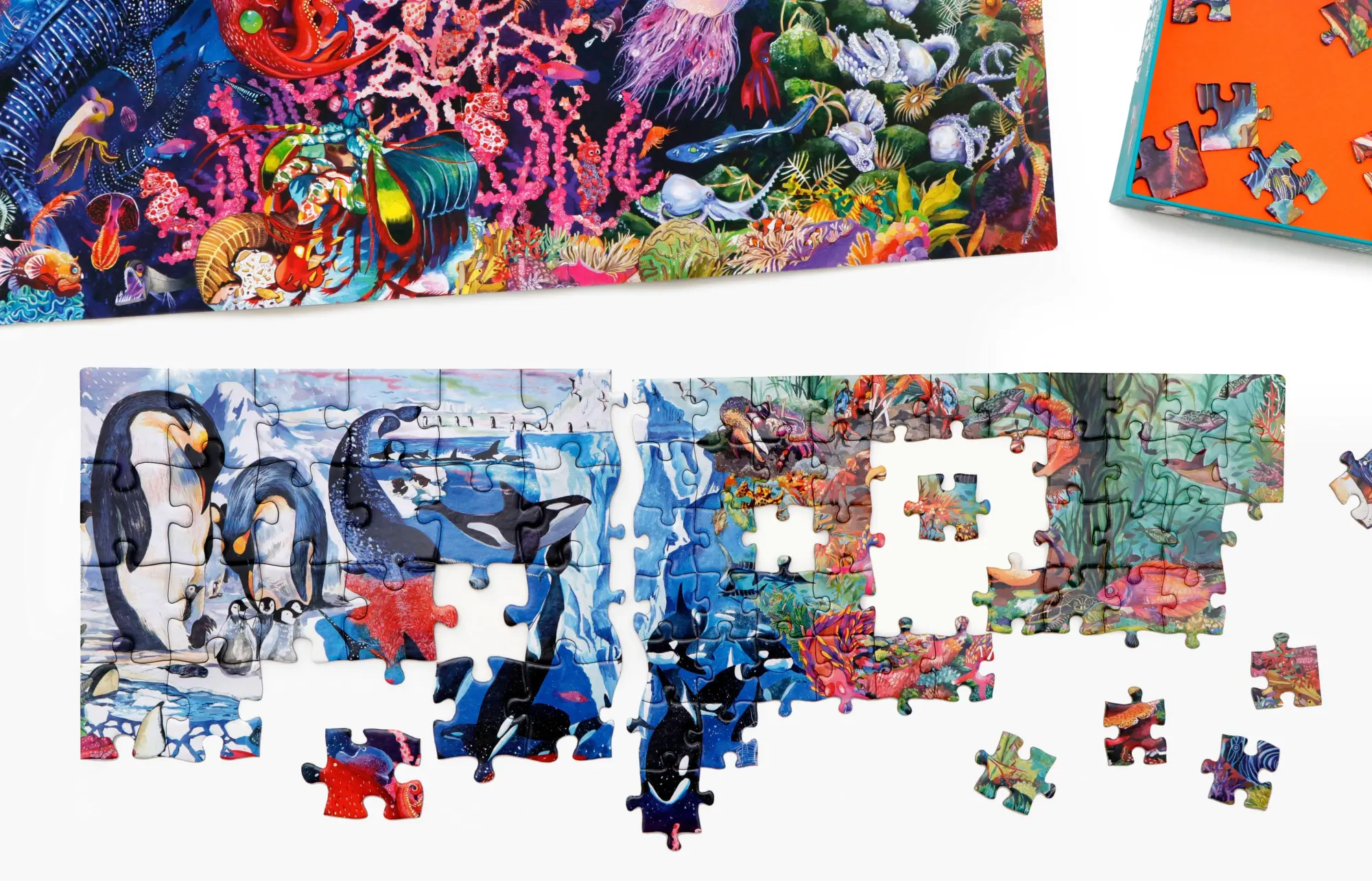 Bild: 9783962445300 | Abenteuer Ozean | Ein Team-Puzzle mit kleinen und großen Teilen | 2026