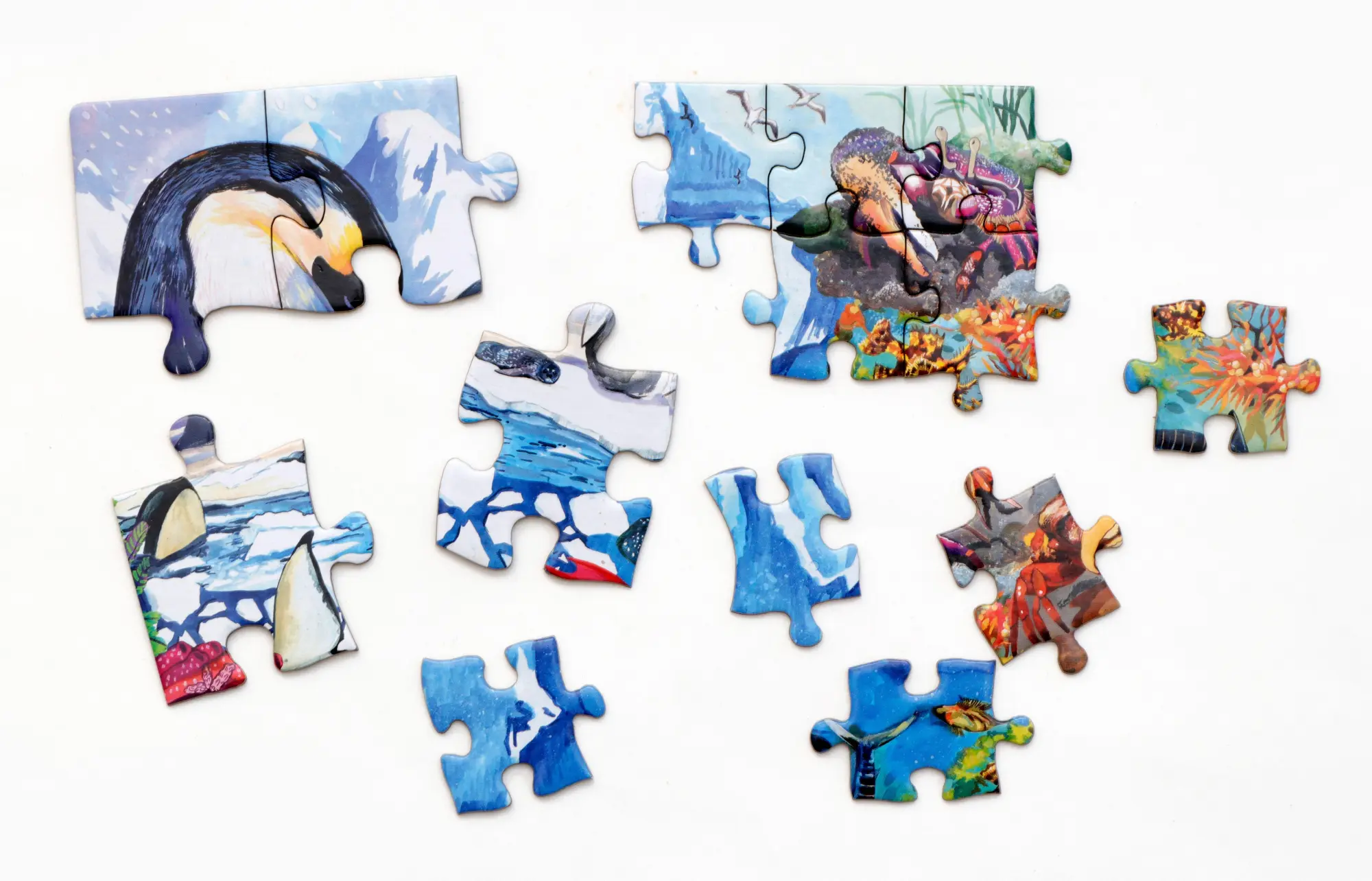 Bild: 9783962445300 | Abenteuer Ozean | Ein Team-Puzzle mit kleinen und großen Teilen | 2026