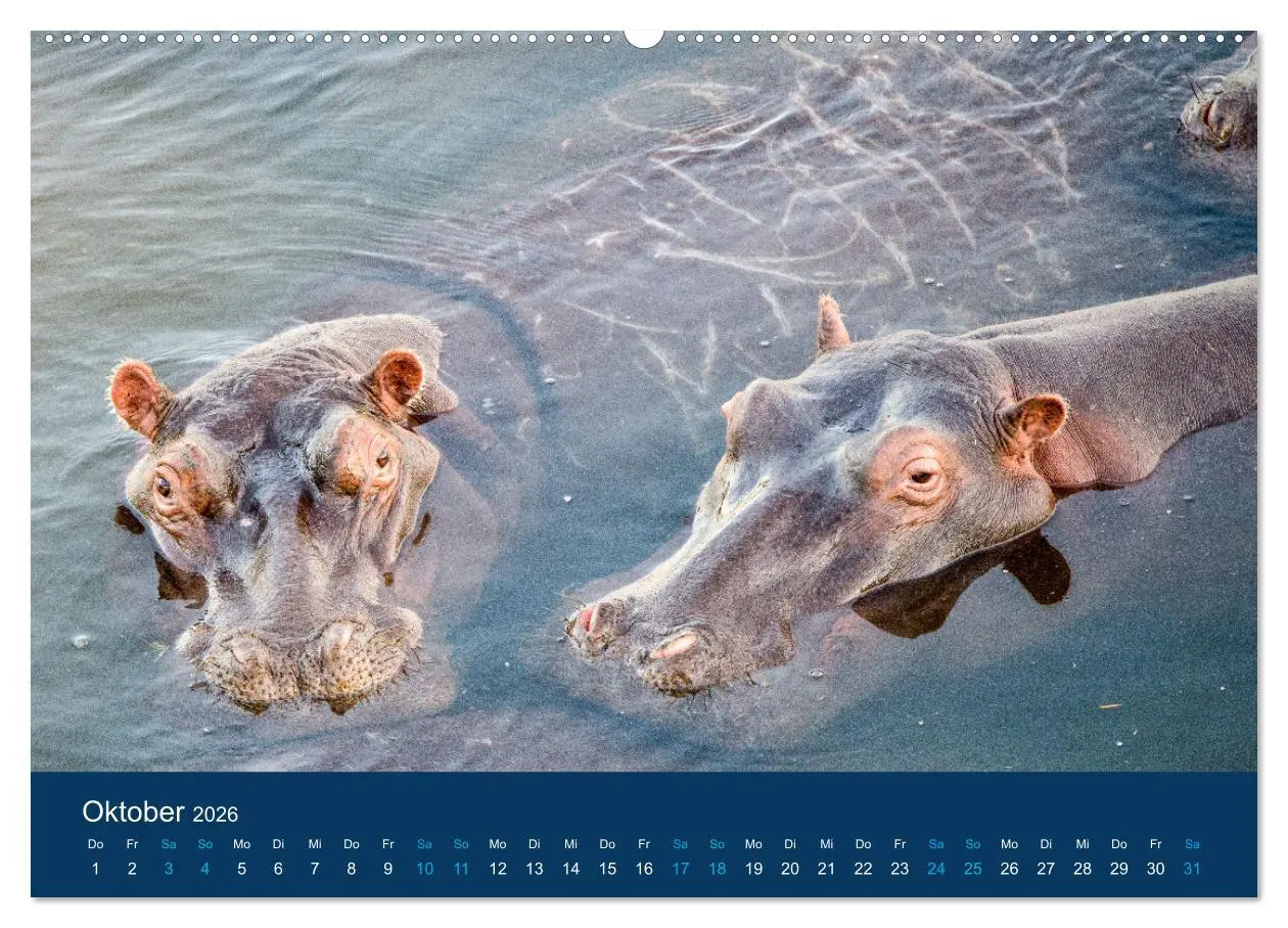 Bild: 9783457605400 | Nilpferde, Kolosse in Afrika (Wandkalender 2026 DIN A2 quer),...