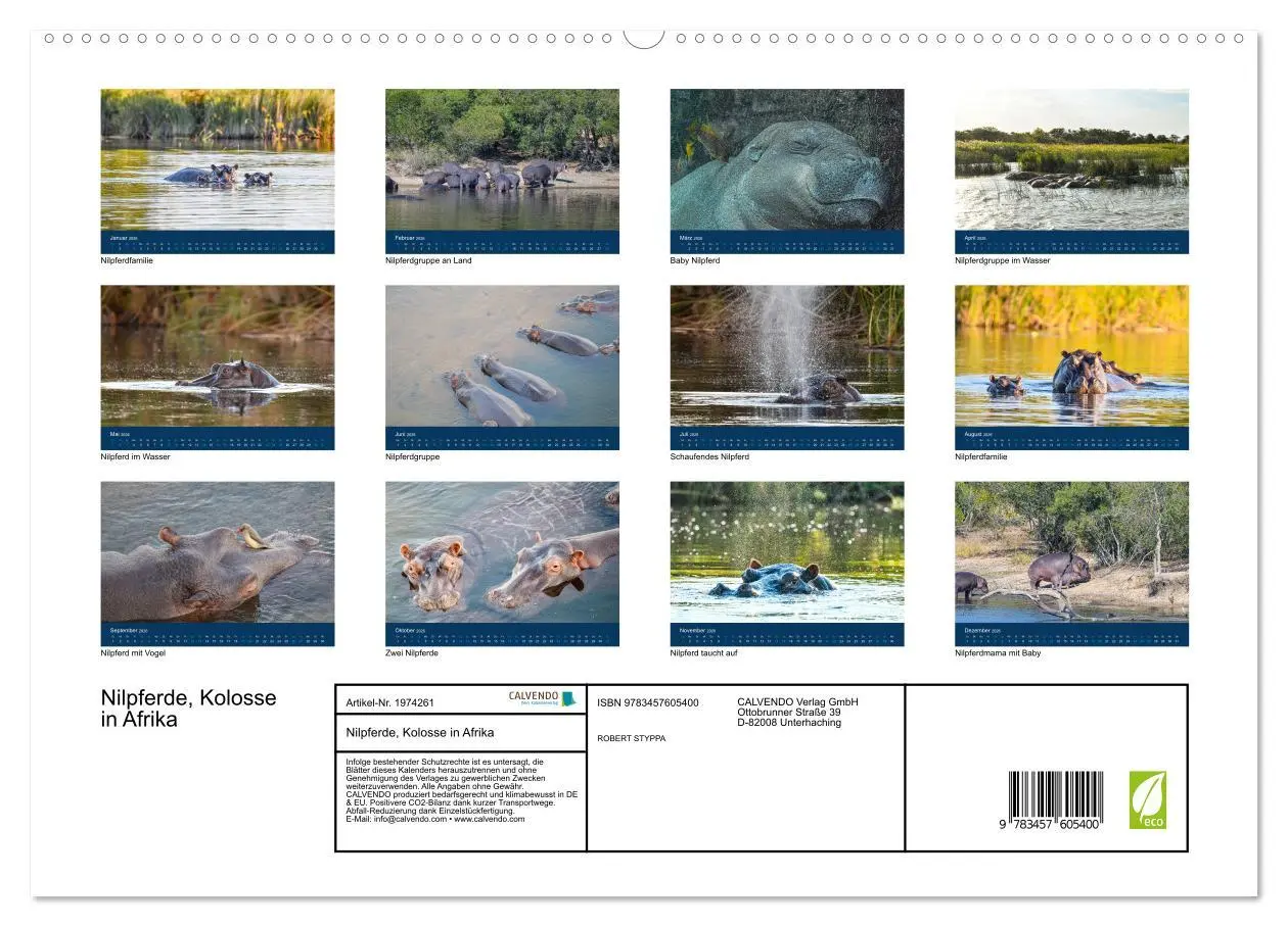 Bild: 9783457605400 | Nilpferde, Kolosse in Afrika (Wandkalender 2026 DIN A2 quer),...