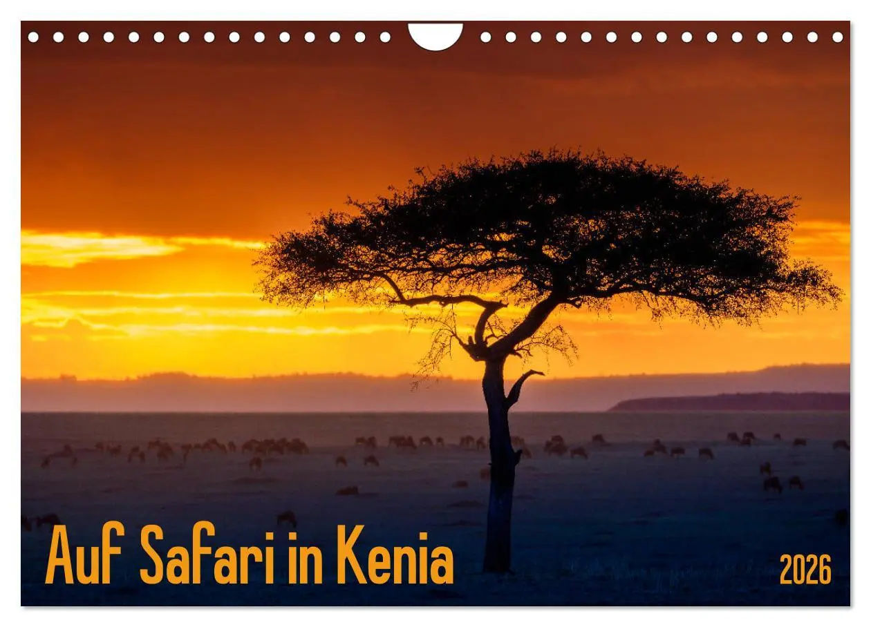 Cover: 9783457845400 | Auf Safari in Kenia 2026 (Wandkalender 2026 DIN A4 quer), CALVENDO...