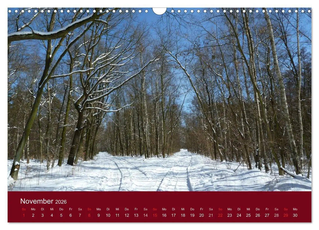 Bild: 9783516175400 | Falkensee - Das Tor zum Havelland (Wandkalender 2026 DIN A3 quer),...