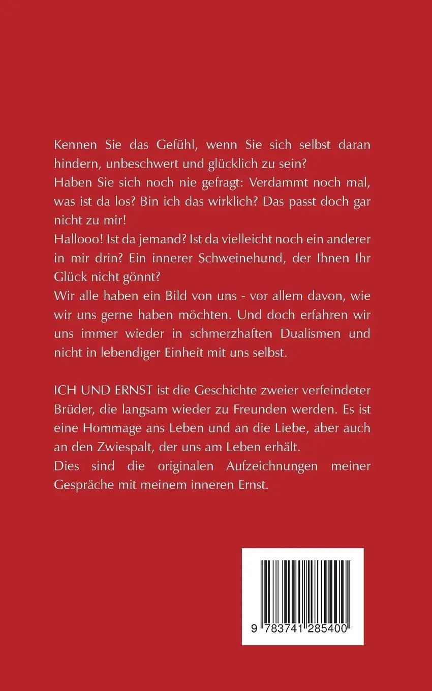 Rückseite: 9783741285400 | Ich und Ernst | Ein ziemlich verrückter Dialog | Martin Strobl | Buch