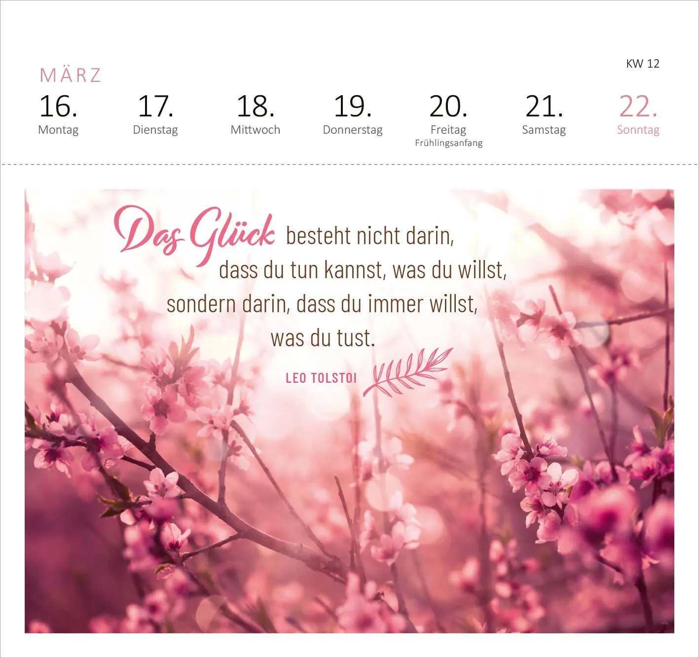 Bild: 4014489135500 | Postkartenkalender 365 Tage Gelassenheit 2026 | Kalender | 108 S.