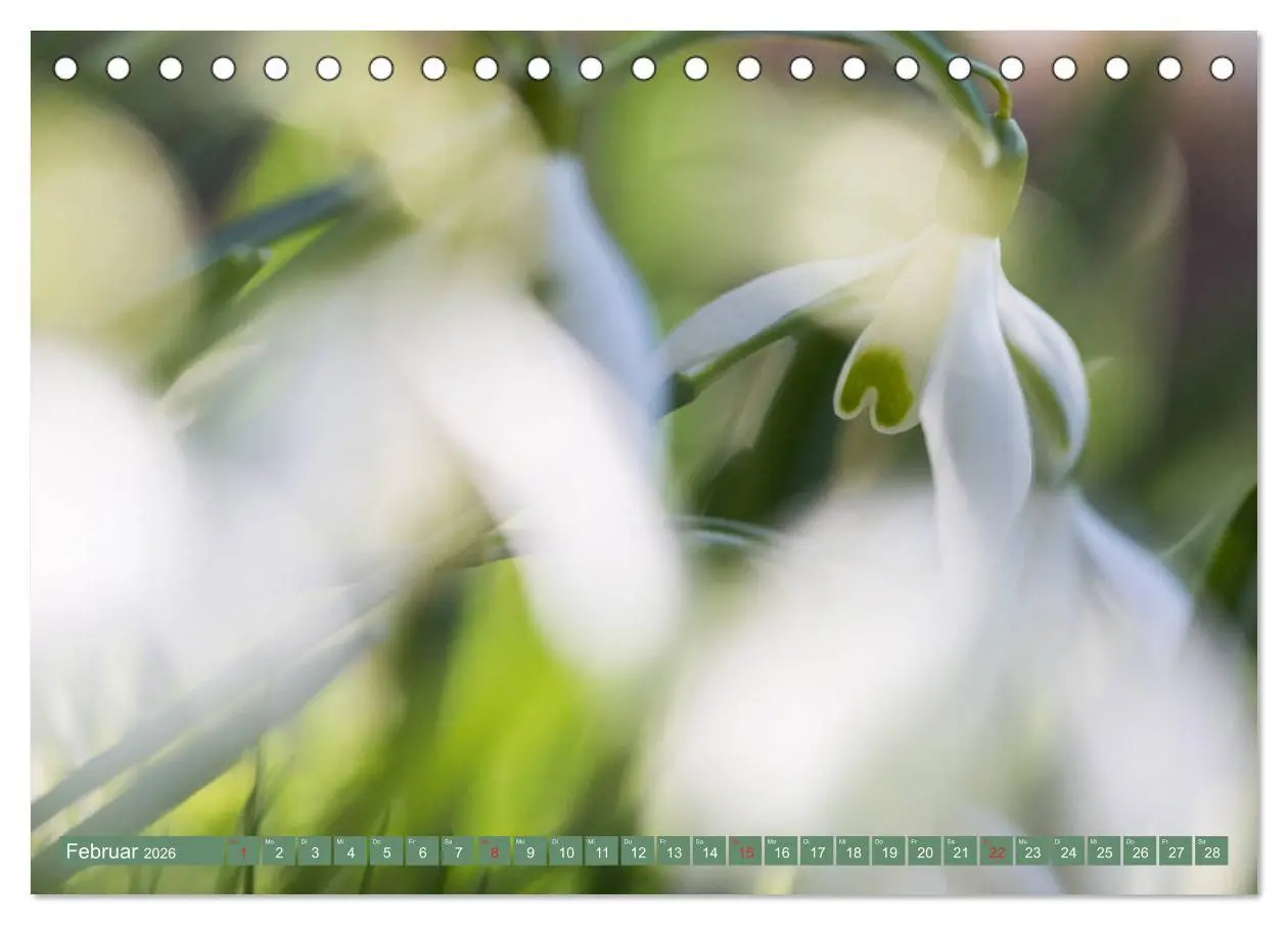 Bild: 9783457905500 | Die Natur hautnah (Tischkalender 2026 DIN A5 quer), CALVENDO...