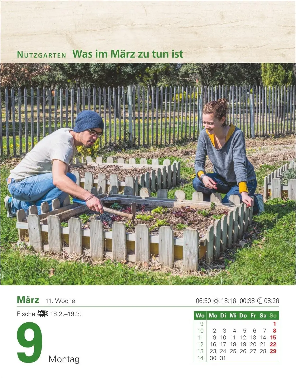 Bild: 9783840035500 | Mein Garten Tagesabreißkalender 2026 - Praktische Tipps für 2026