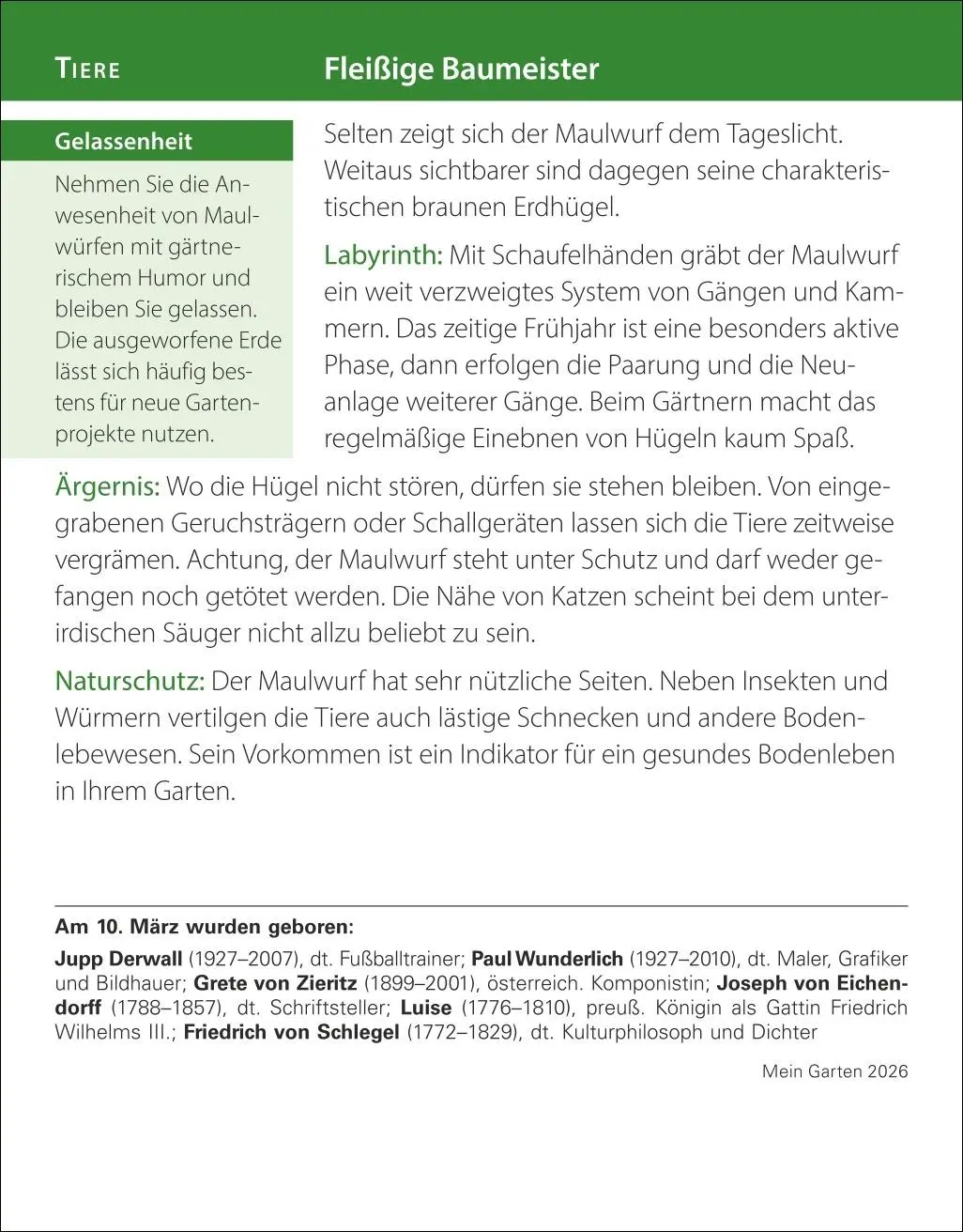 Bild: 9783840035500 | Mein Garten Tagesabreißkalender 2026 - Praktische Tipps für 2026