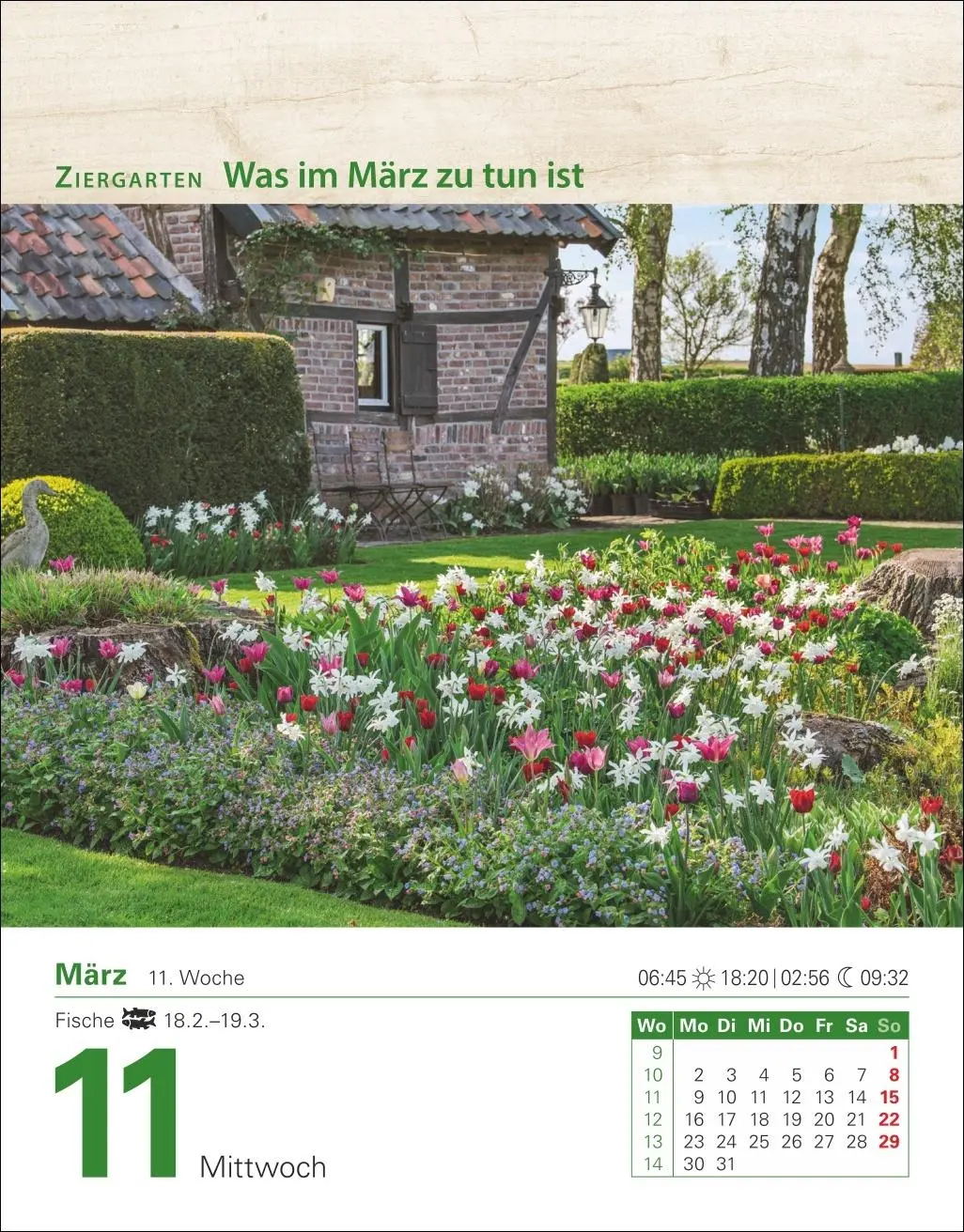 Bild: 9783840035500 | Mein Garten Tagesabreißkalender 2026 - Praktische Tipps für 2026