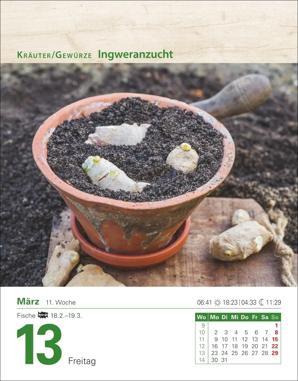 Bild: 9783840035500 | Mein Garten Tagesabreißkalender 2026 - Praktische Tipps für 2026