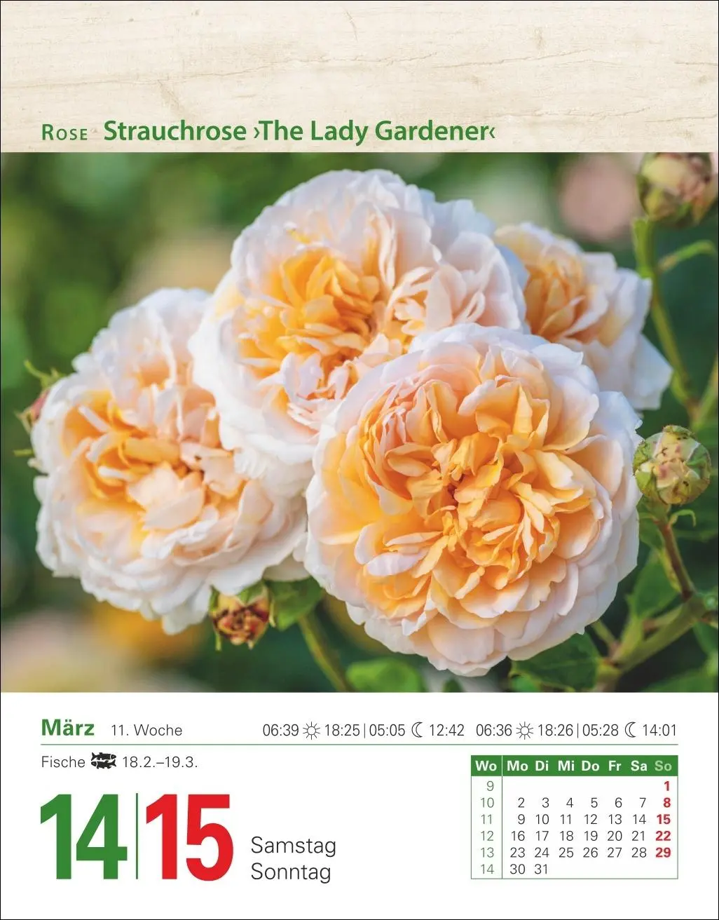 Bild: 9783840035500 | Mein Garten Tagesabreißkalender 2026 - Praktische Tipps für 2026