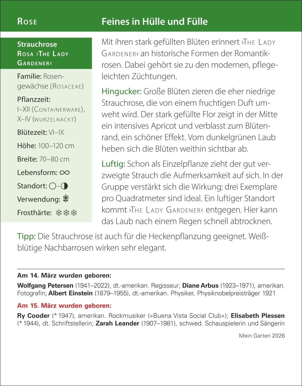 Bild: 9783840035500 | Mein Garten Tagesabreißkalender 2026 - Praktische Tipps für 2026