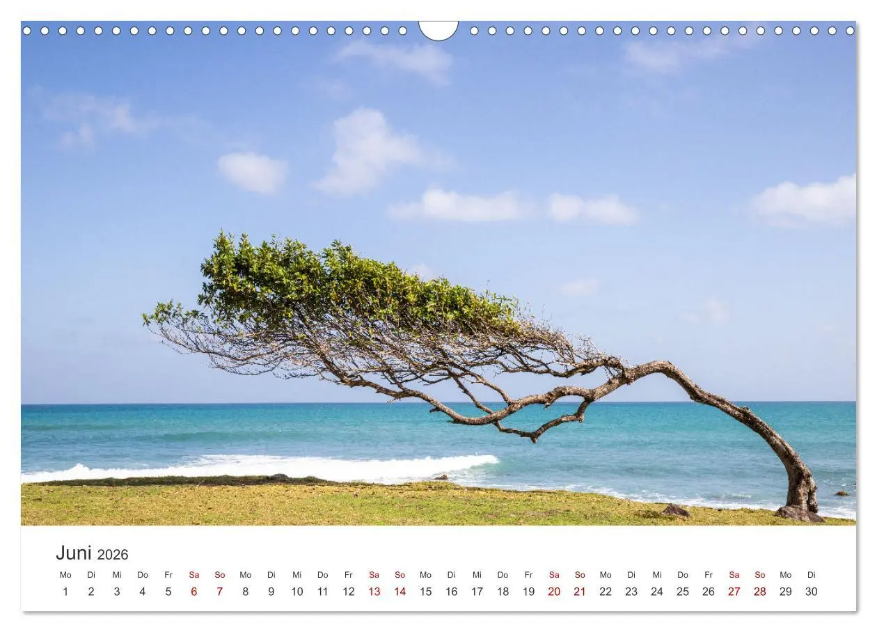 Bild: 9783457445600 | Guadeloupe, Trauminsel der Französische Antillen (Wandkalender 2026...