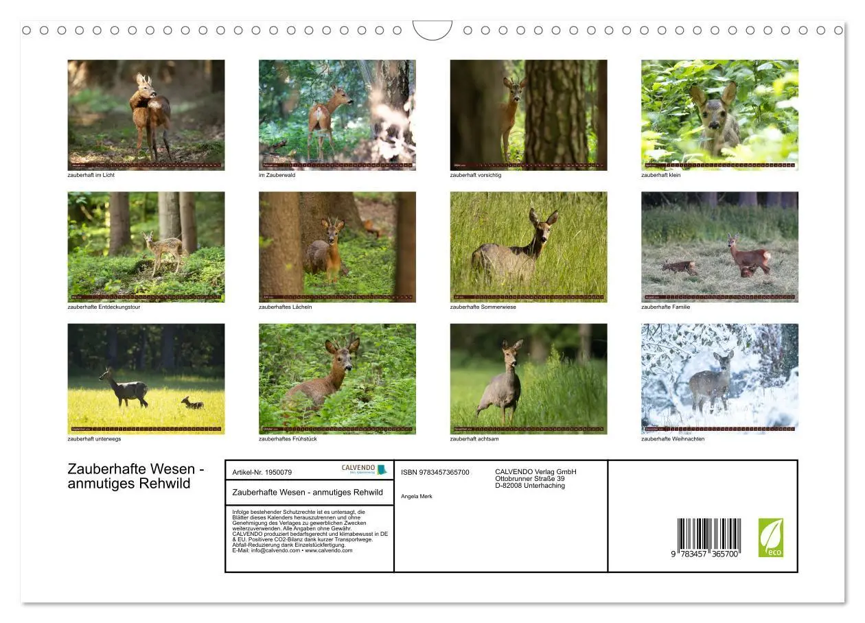 Bild: 9783457365700 | Zauberhafte Wesen - anmutiges Rehwild (Wandkalender 2026 DIN A3...