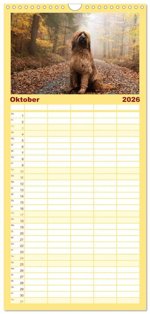 Bild: 9783516515800 | Familienplaner 2026 - Der Briard - Ein echter Charmeur mit 5...