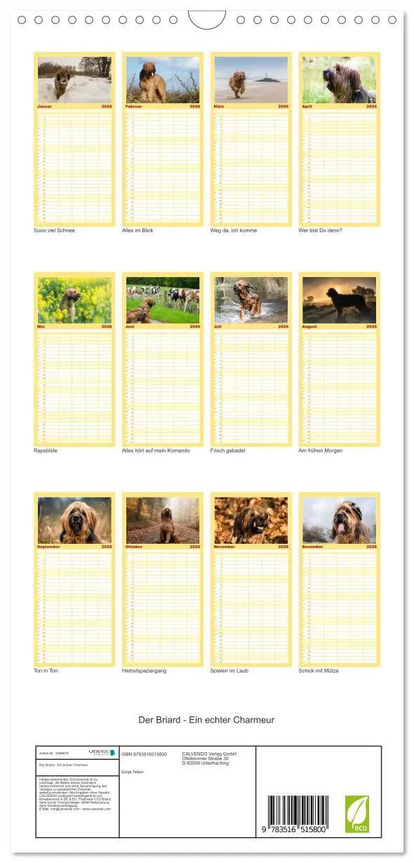 Bild: 9783516515800 | Familienplaner 2026 - Der Briard - Ein echter Charmeur mit 5...