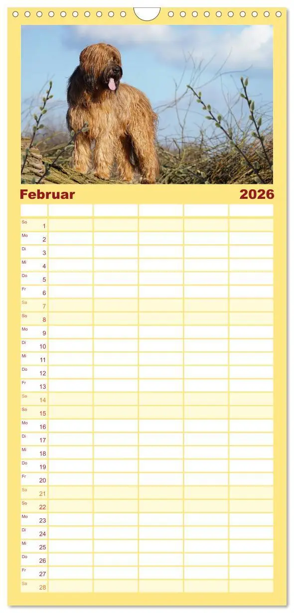 Bild: 9783516515800 | Familienplaner 2026 - Der Briard - Ein echter Charmeur mit 5...