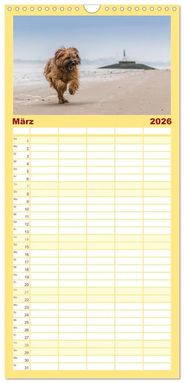 Bild: 9783516515800 | Familienplaner 2026 - Der Briard - Ein echter Charmeur mit 5...