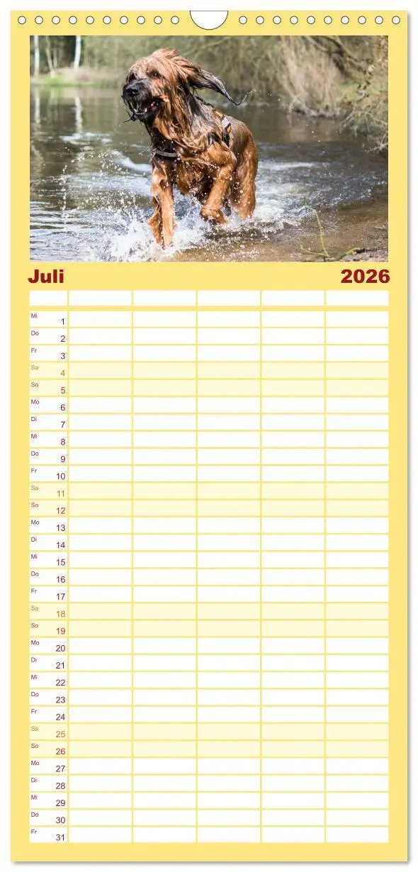 Bild: 9783516515800 | Familienplaner 2026 - Der Briard - Ein echter Charmeur mit 5...