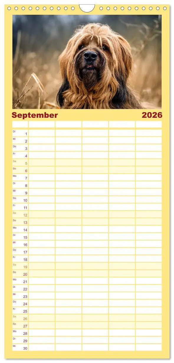 Bild: 9783516515800 | Familienplaner 2026 - Der Briard - Ein echter Charmeur mit 5...