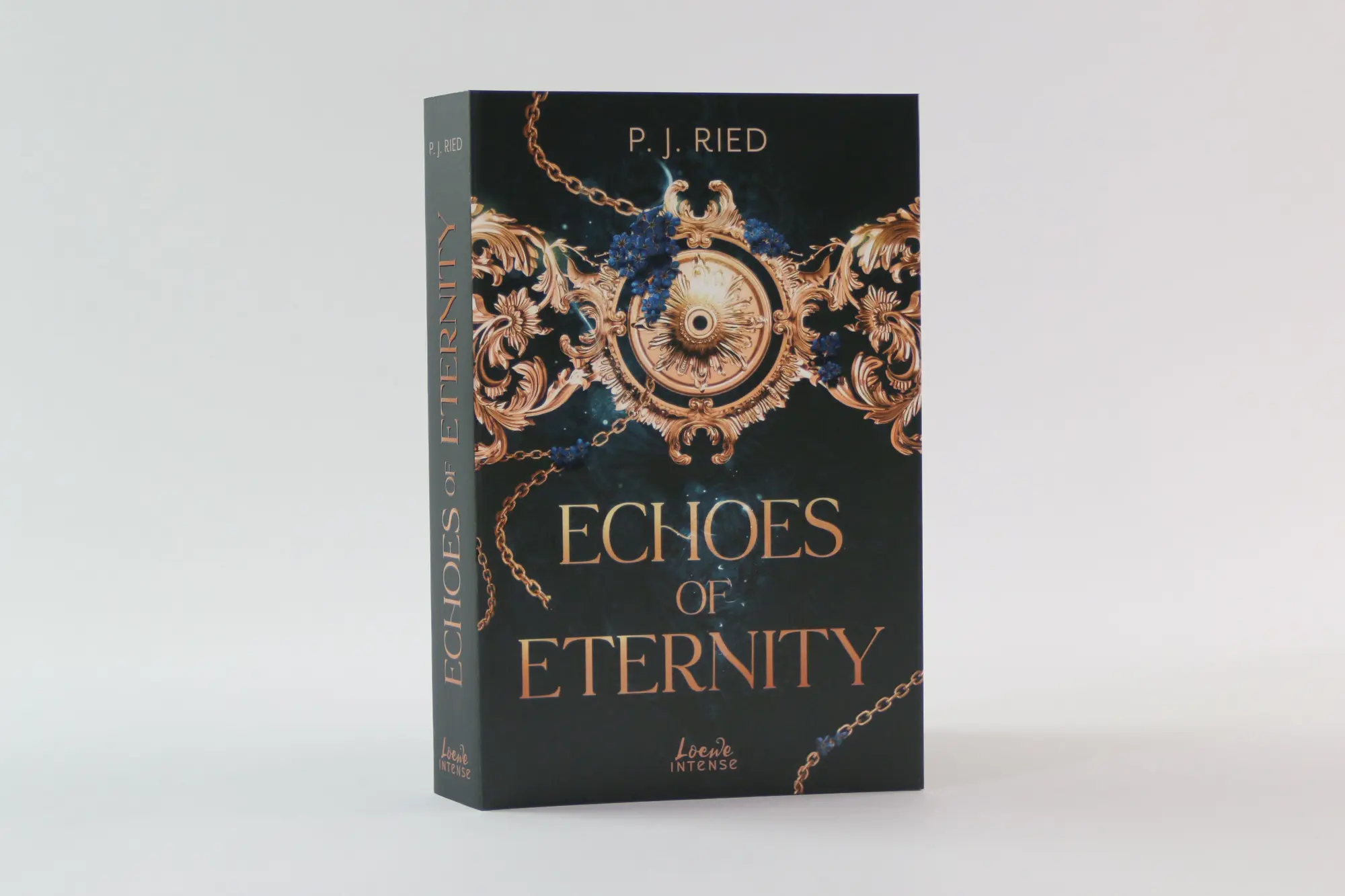 Bild: 9783743225800 | Echoes of Eternity (Eternity-Dilogie, Band 1) | P. J. Ried | Buch