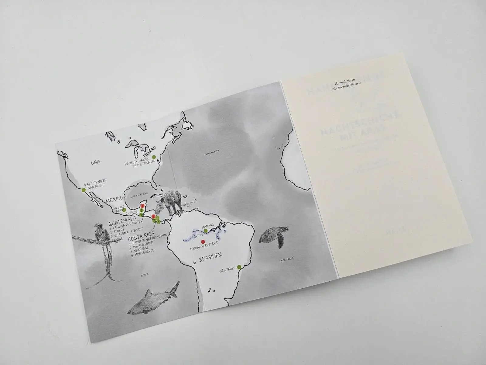 Bild: 9783890295800 | Nachtschicht mit Aras | Hannah Emde | Taschenbuch | 304 S. | Deutsch