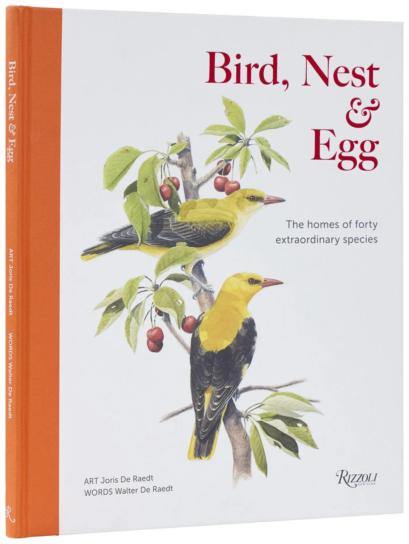 Cover: 9780847875900 | Bird, Nest &amp; Egg | The Homes of Forty Extraordinary Species | Buch