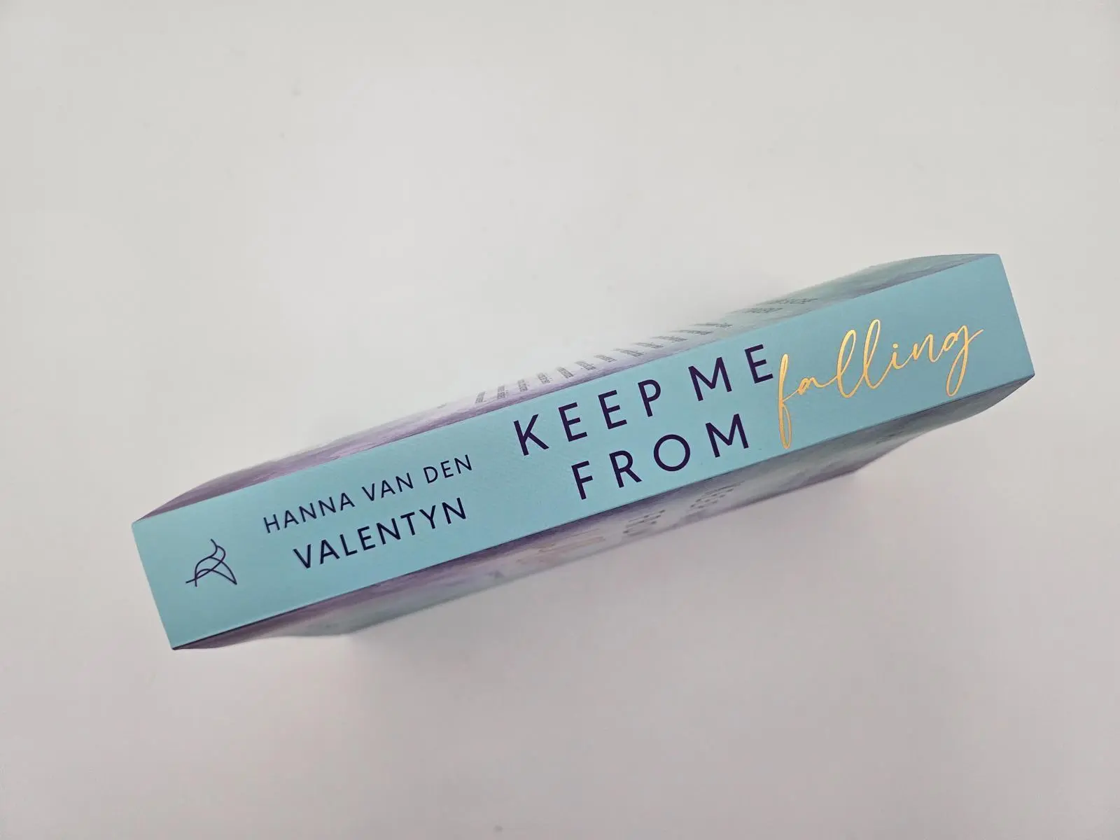 Bild: 9783492065900 | Keep me from falling | Hanna van den Valentyn | Taschenbuch | 384 S.