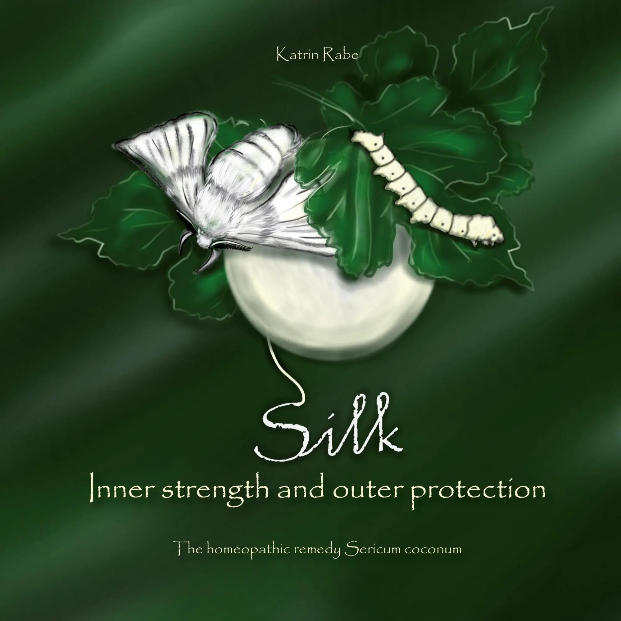 Cover: 9783754345900 | Silk - Inner strength and outer protection | Katrin Rabe | Taschenbuch