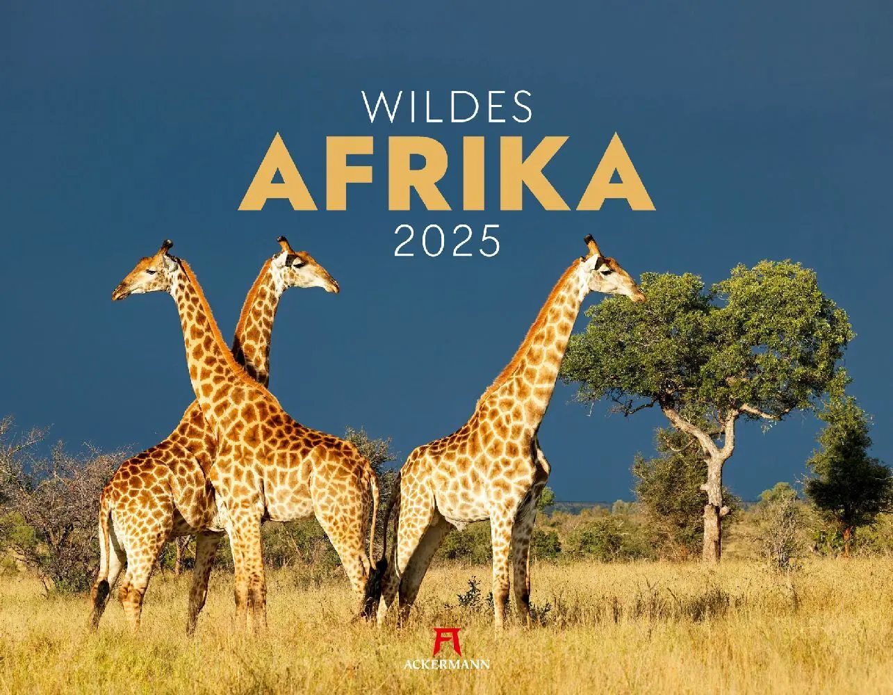 Cover: 9783838425900 | Wildes Afrika Kalender 2025 | Ackermann Kunstverlag | Kalender | 2025