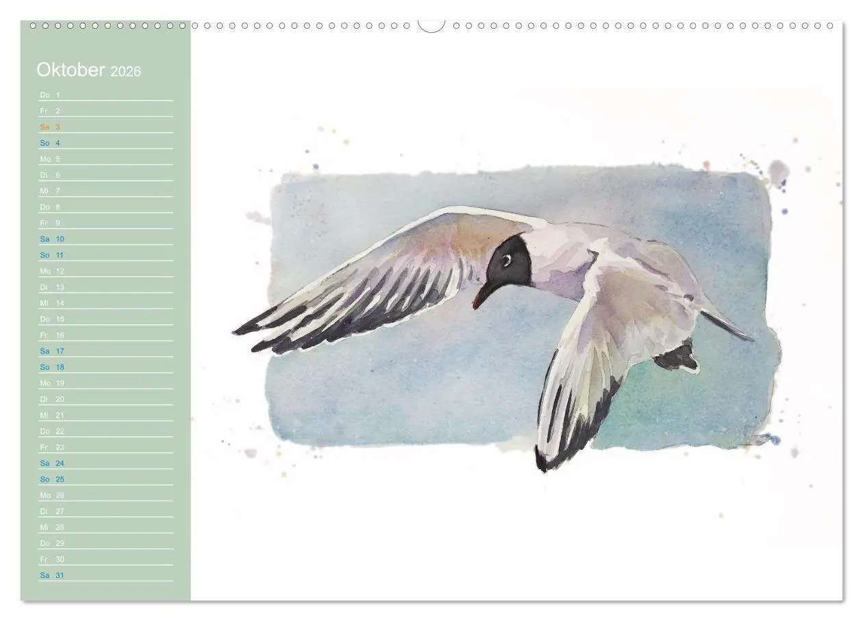 Bild: 9783457546000 | Möwen - Aquarelle von Julia Pasinski (Wandkalender 2026 DIN A2...