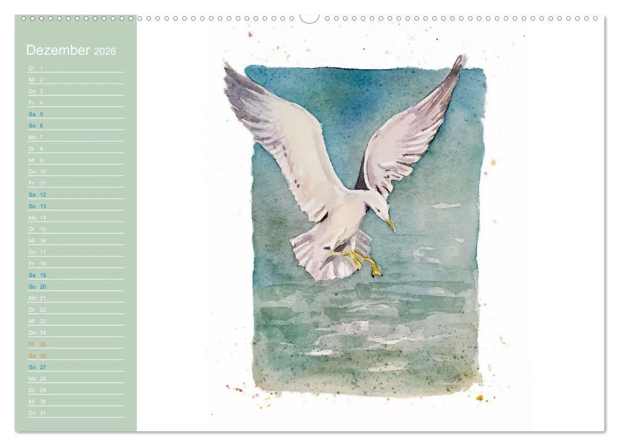 Bild: 9783457546000 | Möwen - Aquarelle von Julia Pasinski (Wandkalender 2026 DIN A2...