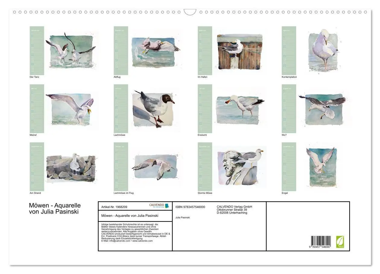 Bild: 9783457546000 | Möwen - Aquarelle von Julia Pasinski (Wandkalender 2026 DIN A2...