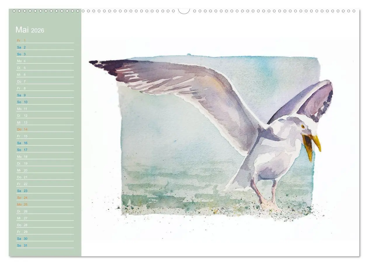 Bild: 9783457546000 | Möwen - Aquarelle von Julia Pasinski (Wandkalender 2026 DIN A2...