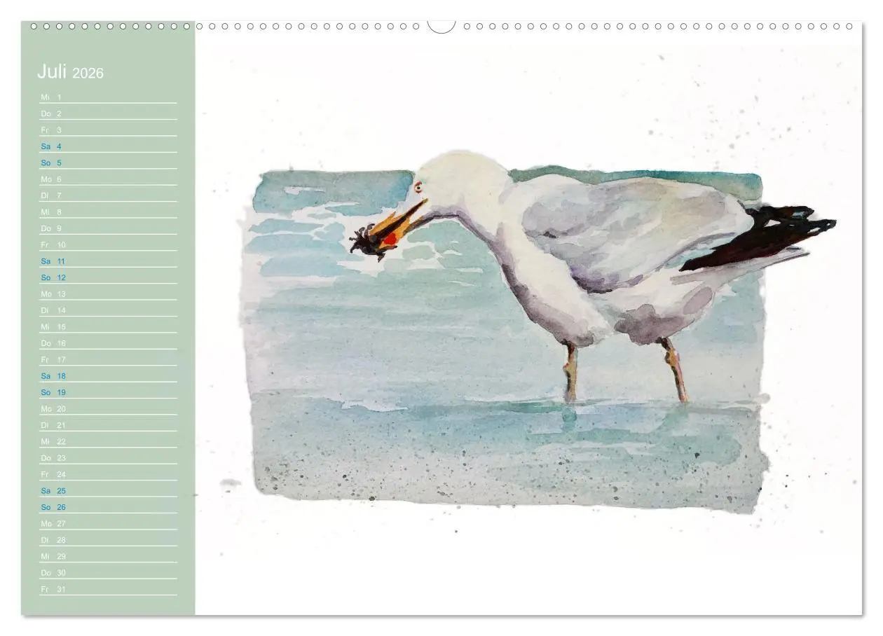 Bild: 9783457546000 | Möwen - Aquarelle von Julia Pasinski (Wandkalender 2026 DIN A2...