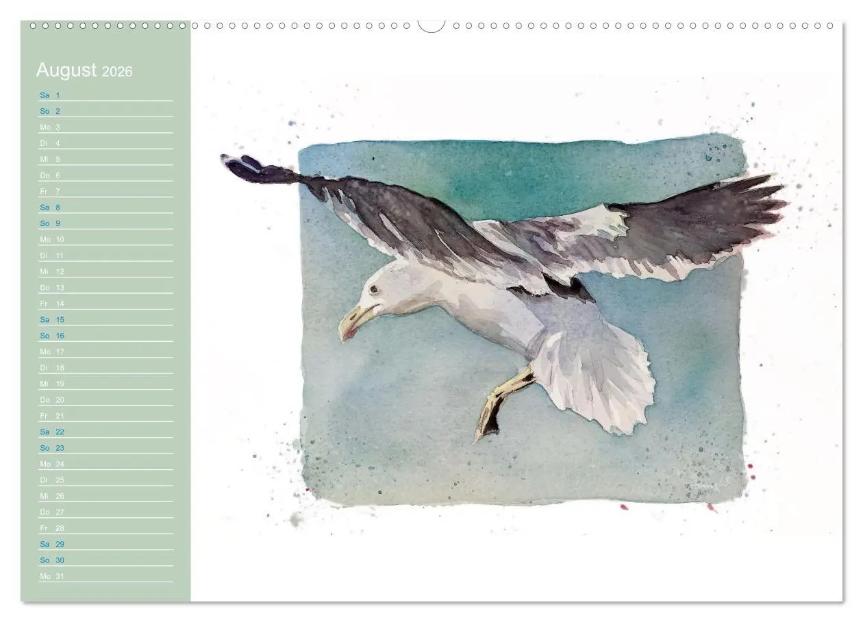 Bild: 9783457546000 | Möwen - Aquarelle von Julia Pasinski (Wandkalender 2026 DIN A2...