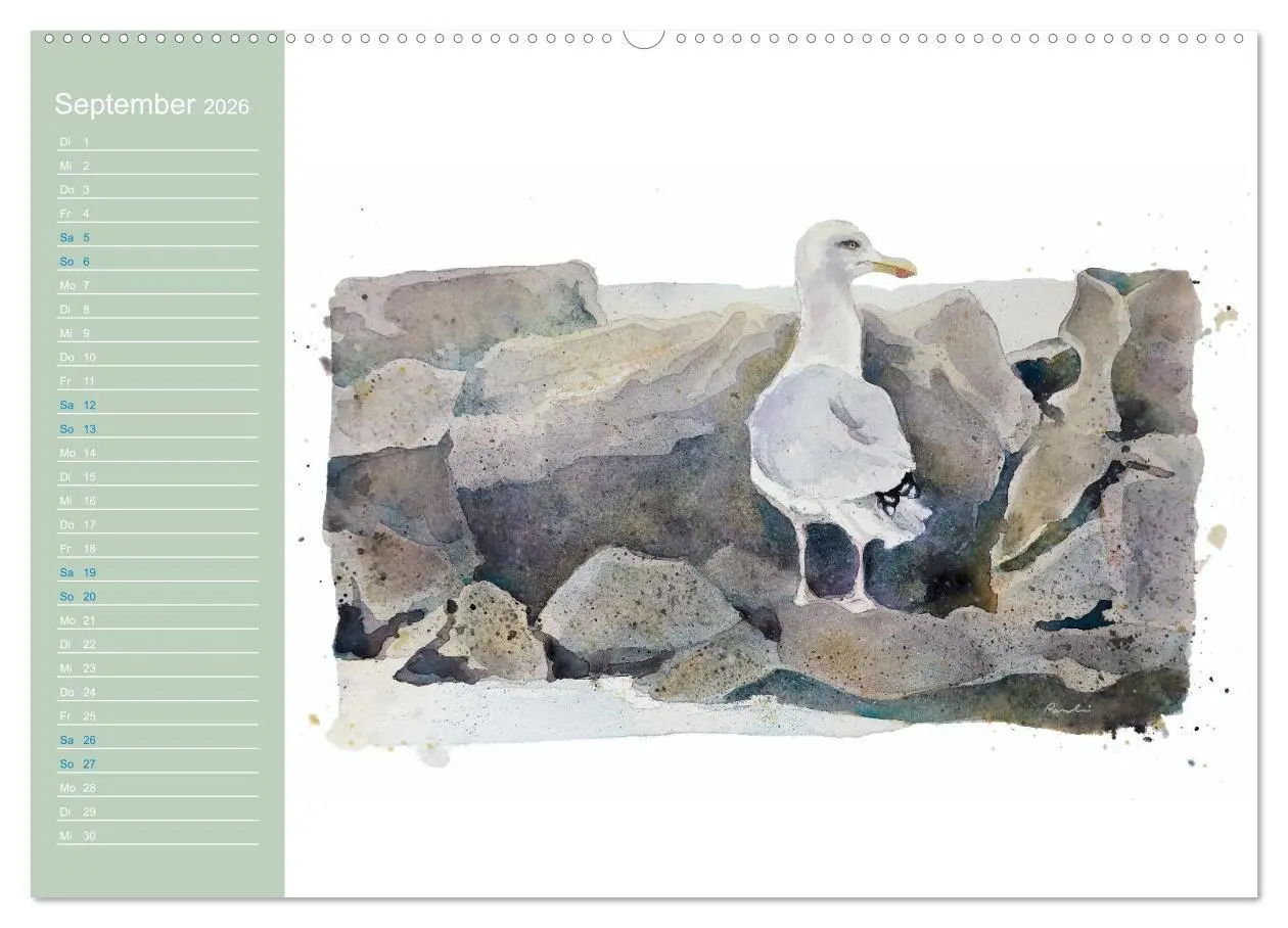 Bild: 9783457546000 | Möwen - Aquarelle von Julia Pasinski (Wandkalender 2026 DIN A2...