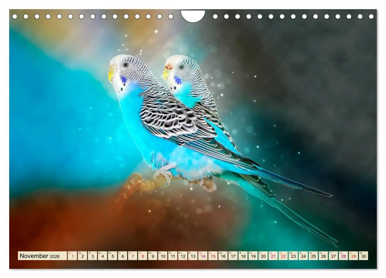 Bild: 9783457846100 | Wunderschöner Wellensittich (Wandkalender 2026 DIN A4 quer),...