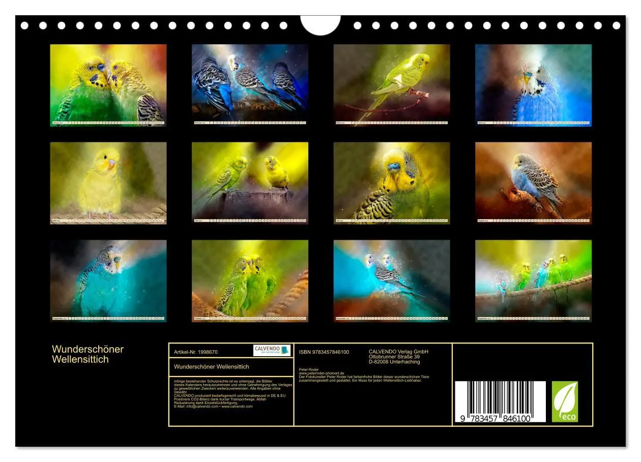 Bild: 9783457846100 | Wunderschöner Wellensittich (Wandkalender 2026 DIN A4 quer),...