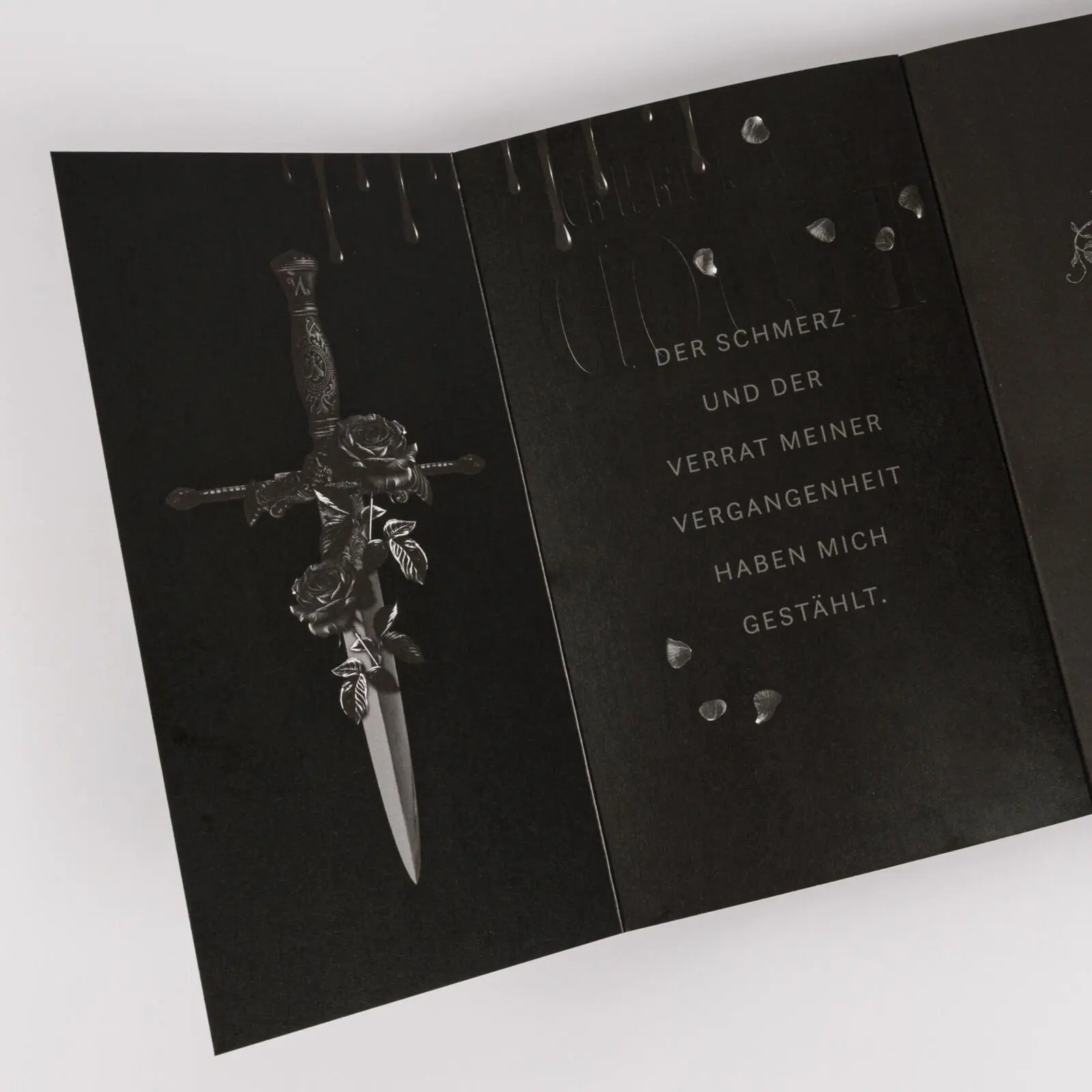 Bild: 9783551586100 | Blackened Blood (Blackened Blade 3) | Isla Davon | Taschenbuch | 2026